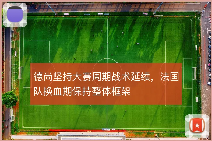 德尚坚持大赛周期战术延续，法国队换血期保持整体框架